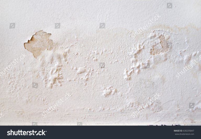 stock-photo-rain-water-leaks-on-the-wall-causing-damage-and-peeling ...