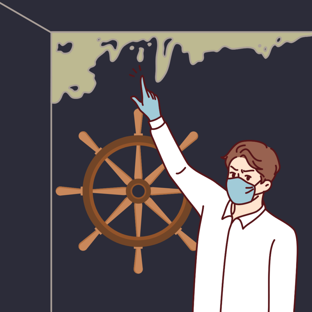 Graphic of cartoon person wearing a face mask, standing in a dark room (like a secret room in basement) and pointing up to mold on the wall. Behind them is a ship's helm displayed on the wall, too.