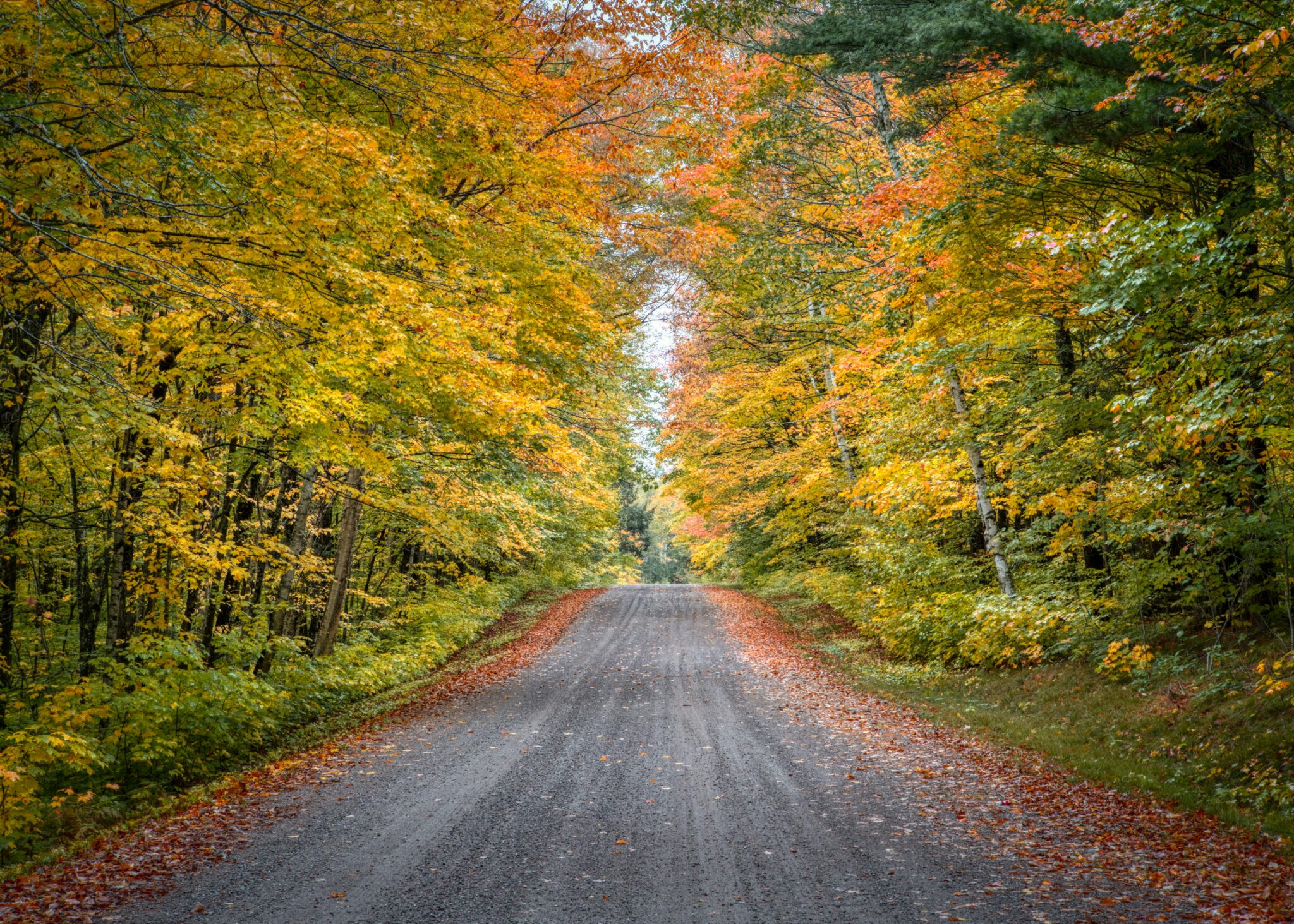 Near Eau Claire, Wisconsin